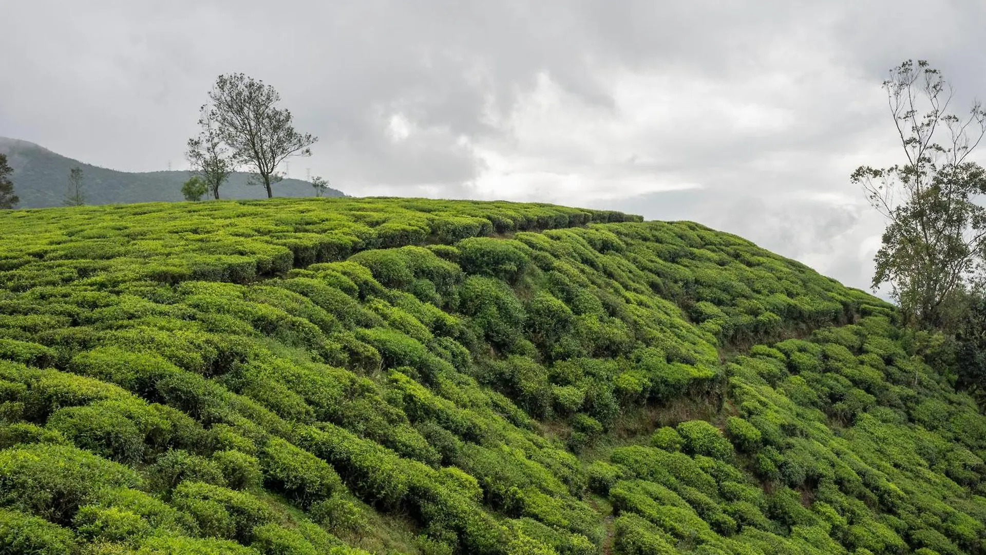 Aaradhya Nuwara Eliya Hotel Inn